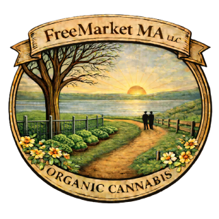 FreeMarketMA
